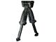 Tactical Extendable Bipod and Foregrip (Black)