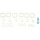 APS Cartridge Repaiting O-Rings (CAM037)