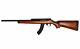 Ace 1 Arms R10/22 Gas Blowback Rifle