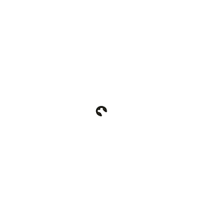 Well and Well Pro - Parts - C Clip